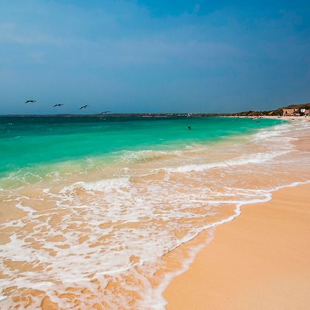 Oz Hotel Luxury Cartagena エクステリア 写真